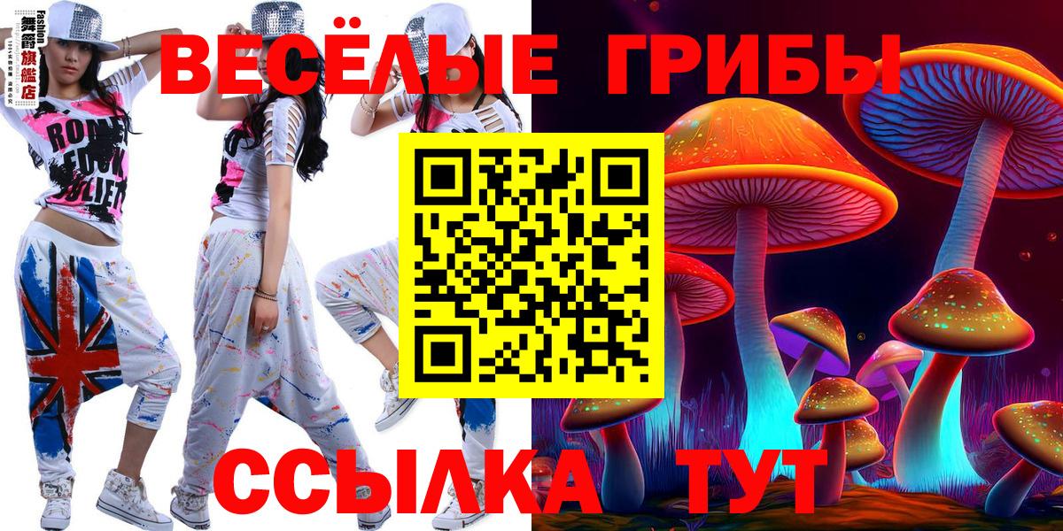 Псилоцибиновые грибы мухоморы Ярославль